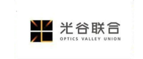 武漢光谷聯(lián)合有限公司